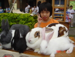 DSC02955