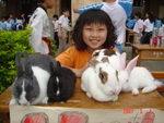 DSC02956