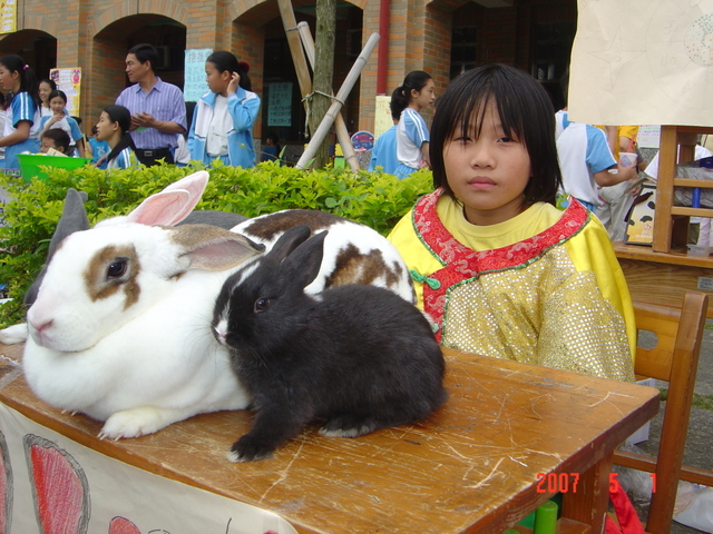 DSC02963