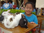 DSC02964