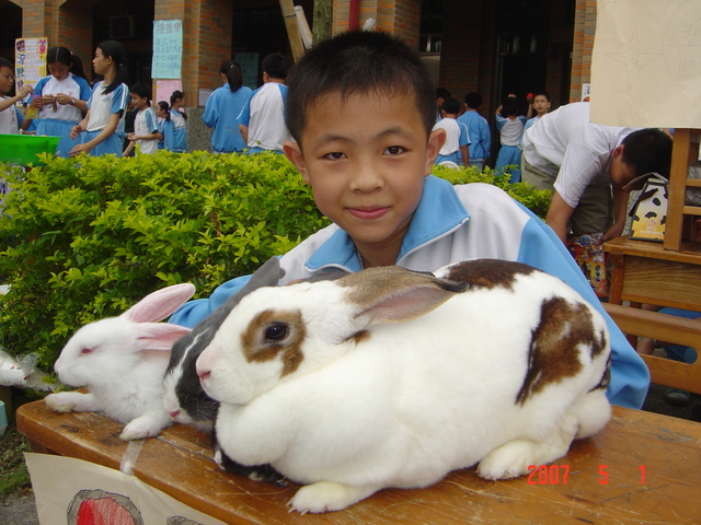 DSC02965