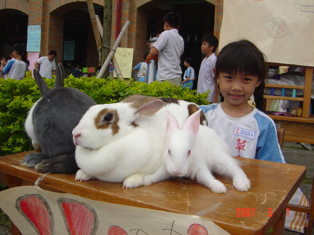 DSC02970