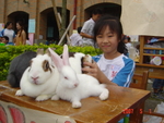 DSC02971