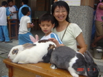 DSC02988