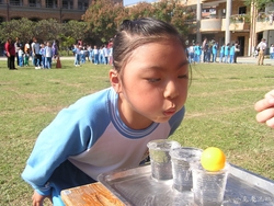 20121215 (3)
