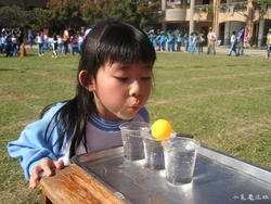 20121215 (5)