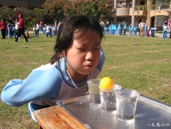 20121215 (7)