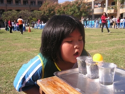 20121215 (8)
