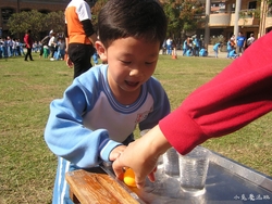 20121215 (33)