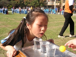 20121215 (35)