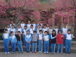 2013櫻花樹下