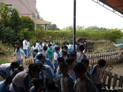 P1100585