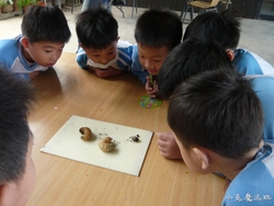 P1100634