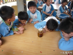 P1100636