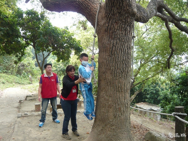 P1100682