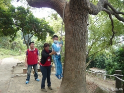 P1100682