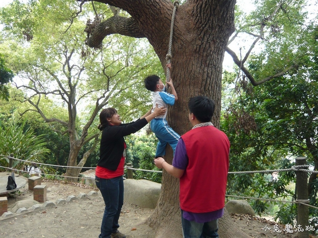 P1100687