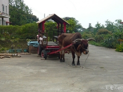 P1100699