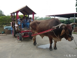 P1100741