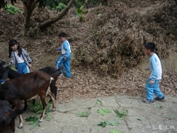P1100778