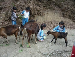P1100780