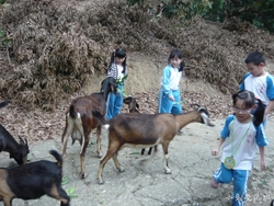 P1100781