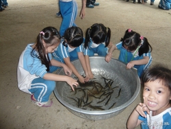 P1100804