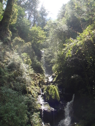 DSC07200