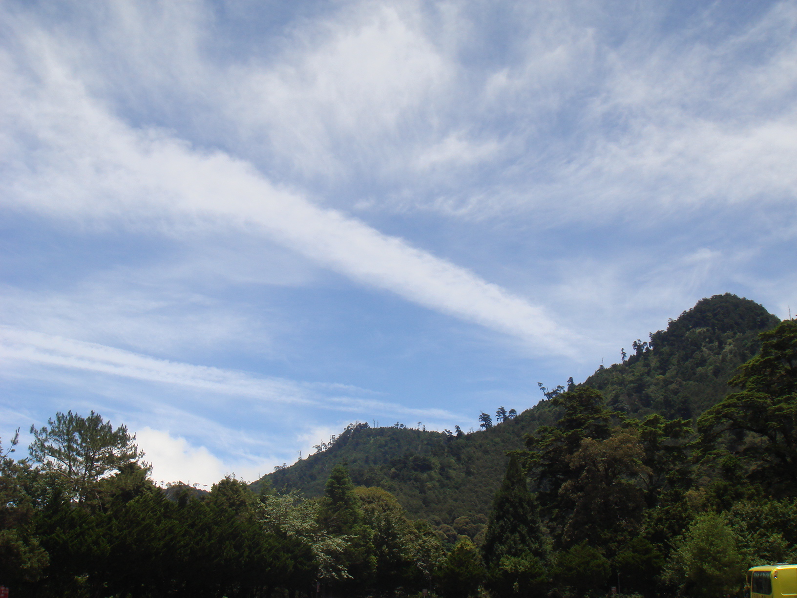 DSC07201