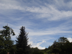 DSC07202