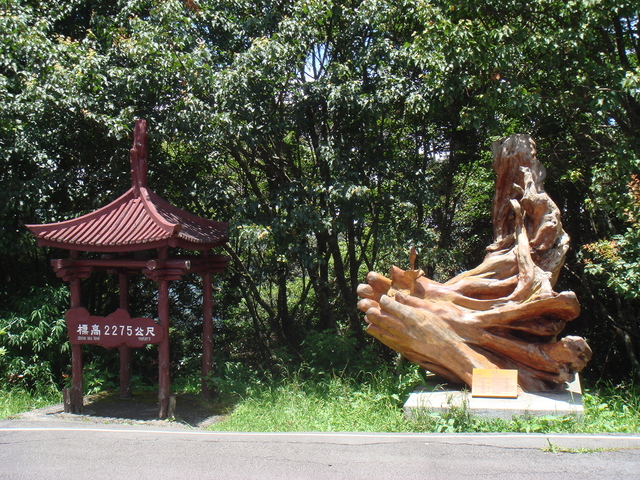 DSC07203