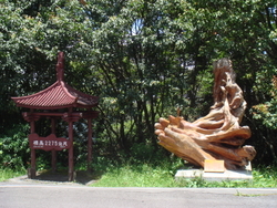 DSC07203