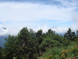 DSC07211