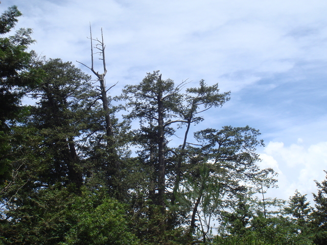 DSC07216