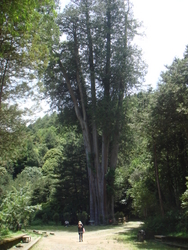 DSC07227