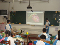 DSC07918