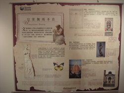 DSC08079