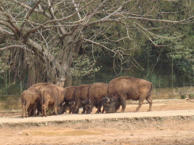 DSC09250