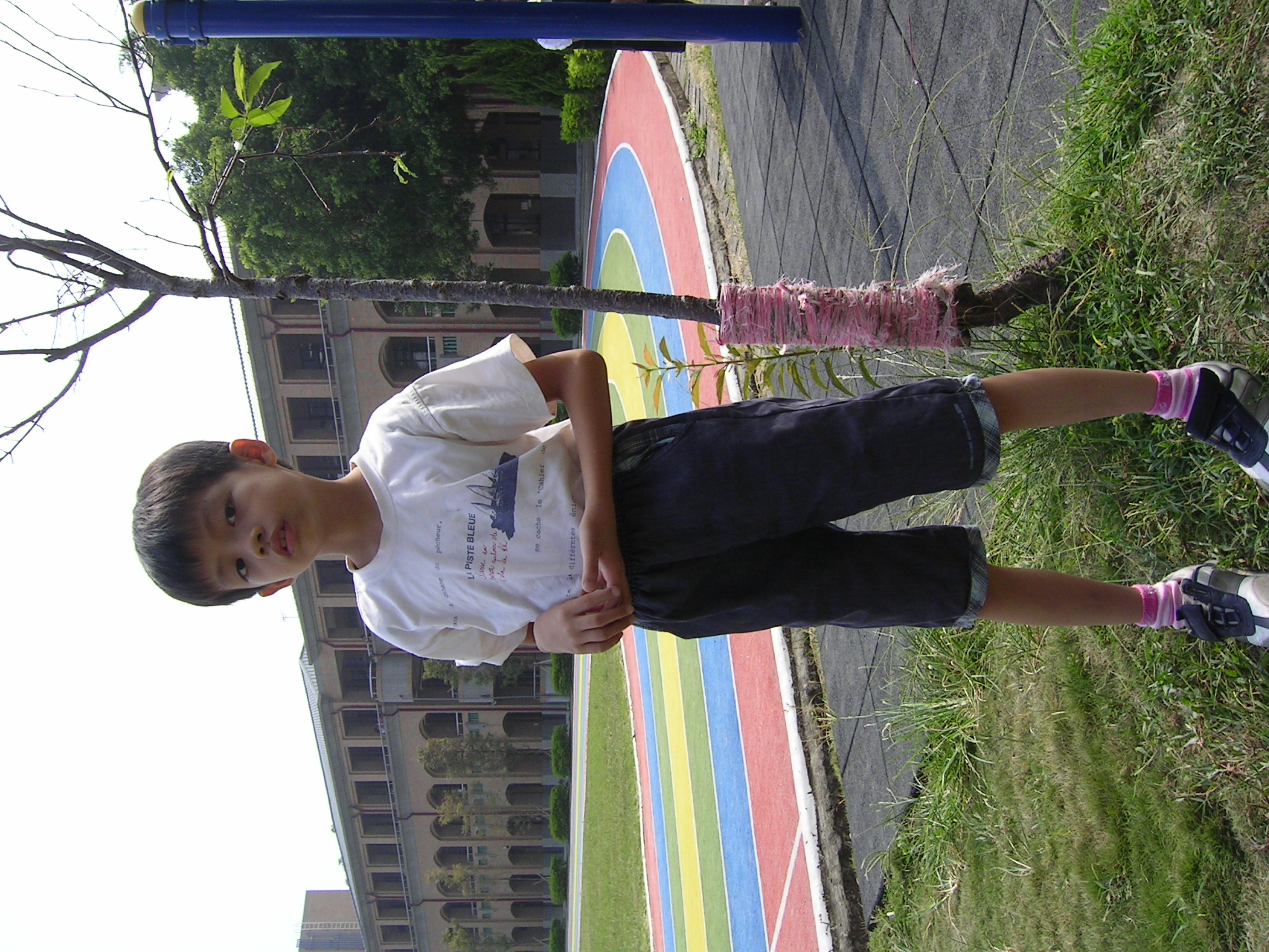 PICT1136