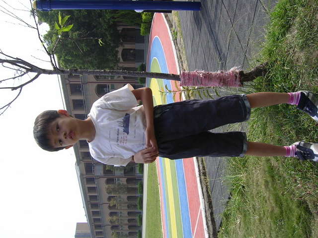 PICT1136