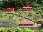 DSC03303