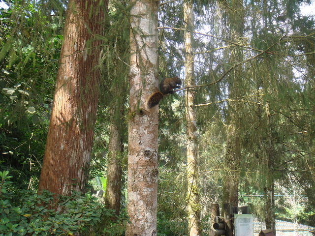 DSC09995