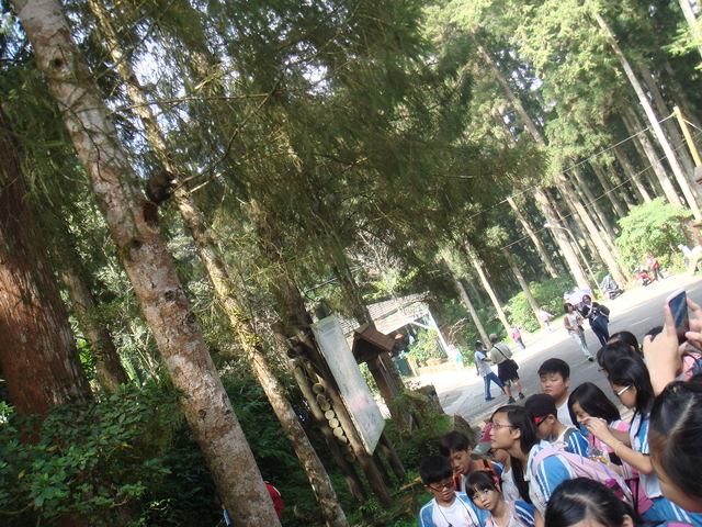 DSC09998