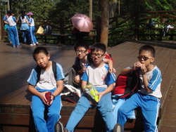 DSC00003