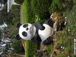 DSC03311