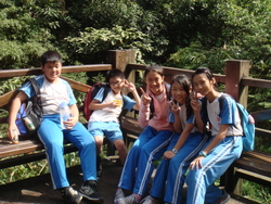 DSC09990