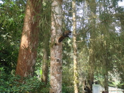 DSC09995