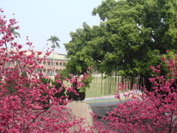 DSC01512
