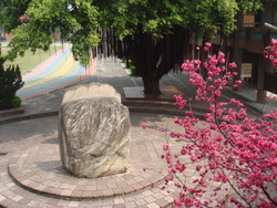 DSC01515