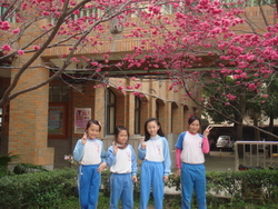 DSC01526